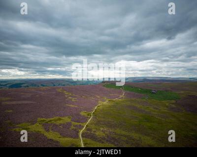 Wunderschöne Heidefelder im Peak District National Park Stockfoto