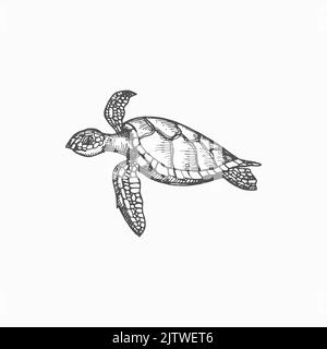 Schildkröte isoliert Chelonia mydas gefährdete Meerestier monochrome Skizze Symbol. Vektor-Seeschildkröte mit harter Schale, amphibisches Maskottchen. Unterwassercharakter, Wasserreptil, Wildtiere aquatische Kreatur Stock Vektor