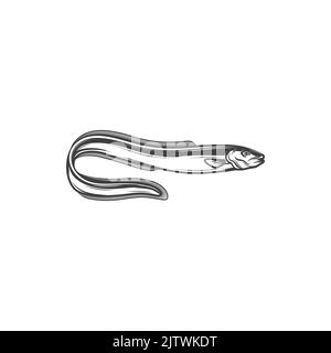 Aal-förmige Fische isoliert monochromes Symbol. Vektor Meer elektrischer Aal, Meerwasser Unterwasser Tier, Salzwasser Schlange, Messerfisch Fischerei Sport Maskottchen. Elektrophorus electricus, exotische Fische bewohnen Süßwasser Stock Vektor