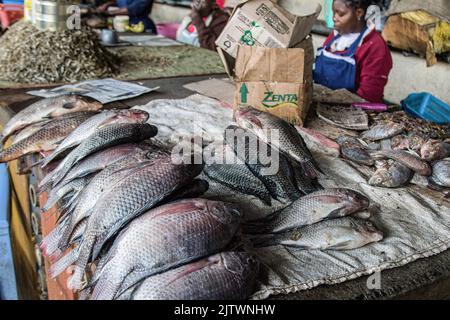 Nakuru, Kenia. 01. September 2022. Ein Händler verkauft Fisch auf dem Frischemarkt von Nakuru Town. Die Inflation in Kenia stieg im August, dem Monat, in dem die Parlamentswahlen stattfanden, auf 8,5 %, wobei die Nahrungsmittelinflation bei 15,3 % lag. Der Anstieg ist seit März 2022 im Aufwärtstrend. Kredit: SOPA Images Limited/Alamy Live Nachrichten Stockfoto