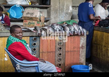 Nakuru, Kenia. 01. September 2022. Ein Händler verkauft Fisch auf dem Frischemarkt von Nakuru Town. Die Inflation in Kenia stieg im August, dem Monat, in dem die Parlamentswahlen stattfanden, auf 8,5 %, wobei die Nahrungsmittelinflation bei 15,3 % lag. Der Anstieg ist seit März 2022 im Aufwärtstrend. Kredit: SOPA Images Limited/Alamy Live Nachrichten Stockfoto