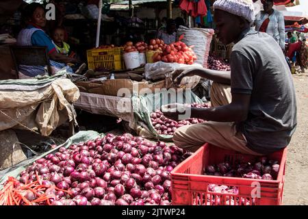 Nakuru, Kenia. 01. September 2022. Ein Händler verkauft Zwiebeln auf einem Frischemarkt in Nakuru Town. Die Inflation in Kenia stieg im August, dem Monat, in dem die Parlamentswahlen stattfanden, auf 8,5 %, wobei die Nahrungsmittelinflation bei 15,3 % lag. Der Anstieg ist seit März 2022 im Aufwärtstrend. (Foto von James Wakibia/SOPA Images/Sipa USA) Quelle: SIPA USA/Alamy Live News Stockfoto