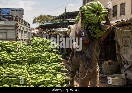 Nakuru, Kenia. 01. September 2022. Ein Arbeiter trägt grüne Bananen auf einem Frischemarkt in Nakuru Town. Die Inflation in Kenia stieg im August, dem Monat, in dem die Parlamentswahlen stattfanden, auf 8,5 %, wobei die Nahrungsmittelinflation bei 15,3 % lag. Der Anstieg ist seit März 2022 im Aufwärtstrend. (Foto von James Wakibia/SOPA Images/Sipa USA) Quelle: SIPA USA/Alamy Live News Stockfoto