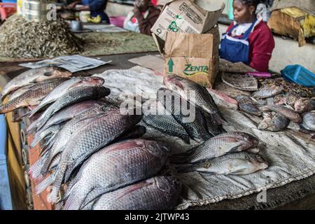 Nakuru, Kenia. 01. September 2022. Ein Händler verkauft Fisch auf dem Frischemarkt von Nakuru Town. Die Inflation in Kenia stieg im August, dem Monat, in dem die Parlamentswahlen stattfanden, auf 8,5 %, wobei die Nahrungsmittelinflation bei 15,3 % lag. Der Anstieg ist seit März 2022 im Aufwärtstrend. (Foto von James Wakibia/SOPA Images/Sipa USA) Quelle: SIPA USA/Alamy Live News Stockfoto