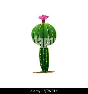 Kaktus mit rosa Blütenblüte isoliert stachelige Pflanze. Vektor skandinavischen oder indischen Kakteen, westlichen opuntia tropischen botanischen Kaktus. Grüne mexikanische Wüste Kaktus Cartoon Sukkulente mit Spikes Stock Vektor
