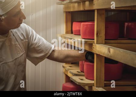 Ein Landwirt überschlägt Käseköpfe auf Holzregalen im Käsereilager. Das Konzept der Herstellung von europäischen Käse- und Milchprodukten Stockfoto