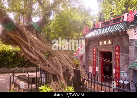 Shui Yuet Kung Kwun Yum Tempel, Ap Lei Chau, Hongkong Stockfoto