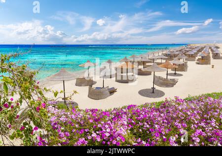 Landschaft mit drei Ecken strand von sayrouz in Marsa Alam, Ägypten Stockfoto