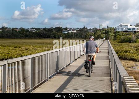 Der gemeinsam genutzte Weg von Takapuna nach Devonport für Radfahrer und Fußgänger umrundet die Küste des Vororts Belmont, Auckland, Neuseeland, Stockfoto