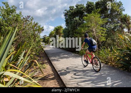 Der gemeinsam genutzte Weg von Takapuna nach Devonport für Radfahrer und Fußgänger umrundet die Küste des Vororts Belmont, Auckland, Neuseeland, Stockfoto