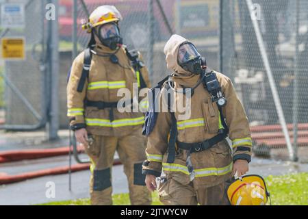 Zwei Feuerwehrmänler, die Atemgeräte tragen, blicken auf ein brennendes Gebäude Stockfoto