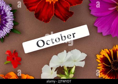 Kalender Herbst Monat Oktober und helle Blumen auf braunem Hintergrund. Draufsicht Flat Lay. Minimalkonzept Hallo Herbst. Vorlage für Ihr Design, grüßet Stockfoto