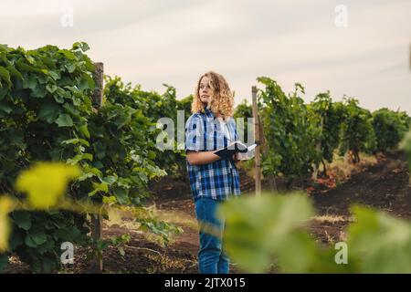 Junge, lockige Bäuerin, die Daten über die Beobachtungen in den Weinbergen auf einem Notizblock aufzeichnet. Intelligente Landwirtschaft und Präzisionslandwirtschaft Stockfoto