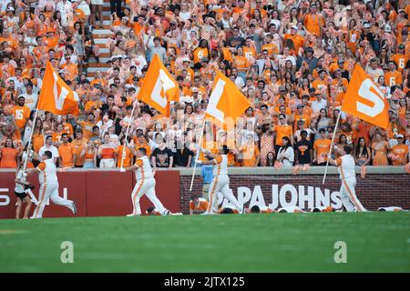 1. September 2022: Freiwillige Cheerleader aus Tennessee feiern während des NCAA-Fußballspiels zwischen den Freiwilligen der University of Tennessee und den Ball State Cardinals im Neyland Stadium in Knoxville, TN, Tim Gangloff/CSM, einen Touchdown Stockfoto