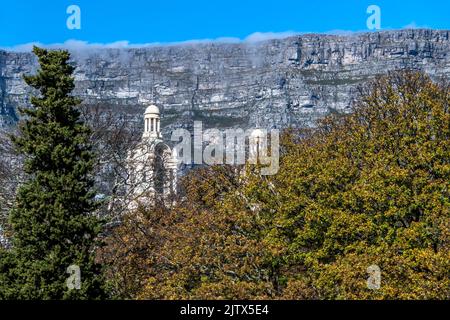 Blick auf den Tafelberg in Kapstadt durch die Bäume. Südafrika Stockfoto