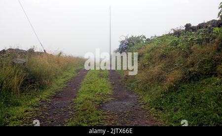 Ländliche, unbefestigte Straße, gesäumt von wilden Sträuchern und rustikalen Steinzäunen, im Nebel am regnerischen Nachmittag, Terceira, Azoren, Portugal Stockfoto