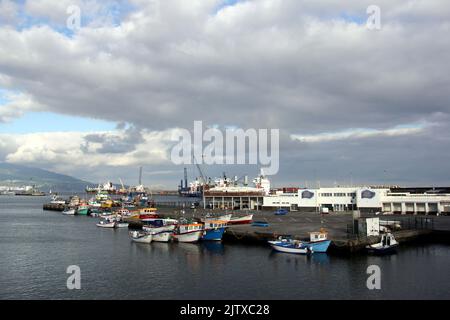 Kleine bunte Fischerboote, die am Pier des Fischerhafens im Hafen festgemacht sind, bei Sonnenuntergang goldene Stunde, Ponta Delgada, Sao Miguel, Azoren, Portugal Stockfoto