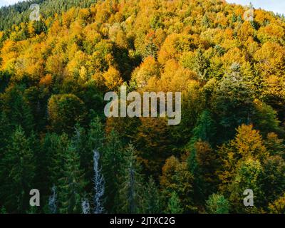 Luftaufnahme der karpaten im Herbst Stockfoto