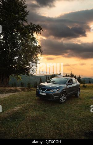 Graues Auto in der Nähe einer großen alten Buche in den Bergen bei Sonnenuntergang Stockfoto