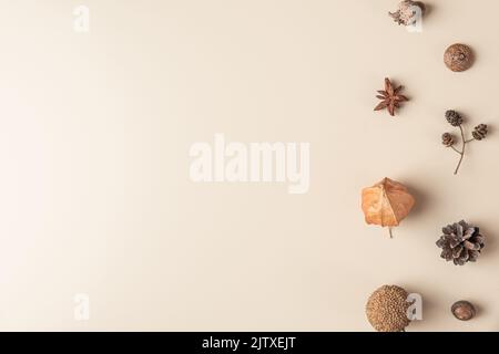Herbstkomposition aus trockenen Blüten, Eichel, Tannenzapfen, Anisstern auf beigem Hintergrund. Flach liegend, Draufsicht mit Kopierplatz Stockfoto