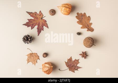 Herbstkomposition. Rahmen aus trockenen Blättern, Blumen, Eichel, Tannenzapfen, Anisstern auf beigem Hintergrund. Flach liegend, Draufsicht mit Kopierplatz Stockfoto