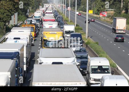 Abbildung zeigt Staus mit vielen Lkw und PKWs nach einem Unfall mit einem Lkw an der Ausfahrt Drongen der Autobahn E40, in Drongen, Freitag, 02. September 2022. Die Straße ist in Richtung Küste gesperrt und die Dienste erwarten, dass die Räumung der Straße eine lange Zeit dauern könnte. BELGA FOTO NICOLAS MAETERLINCK Stockfoto