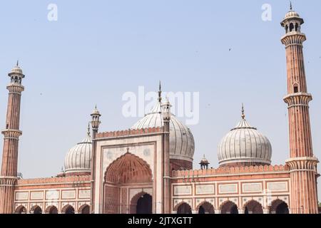 Architektonisches Detail der Jama Masjid Moschee, Alt-Delhi, Indien, die spektakuläre Architektur der Großen Freitagsmoschee (Jama Masjid) in Delhi 6 während Stockfoto