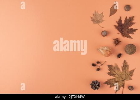 Herbst monochromer Hintergrund aus trockenen Blättern, Blumen, Eichel, Nüssen auf orangefarbenem Hintergrund. Flach liegend. Draufsicht mit Kopierbereich Stockfoto