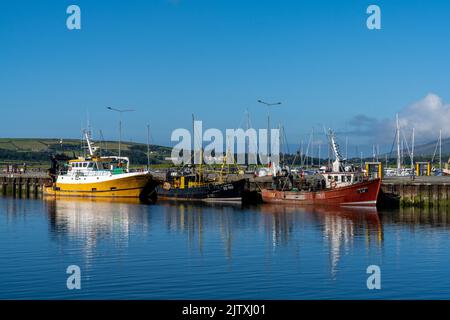 Dingle, Irland - 7. August 2022: Bunte Fischerboote auf den Docks im Hafen von Dingle in der Grafschaft Kerry Stockfoto