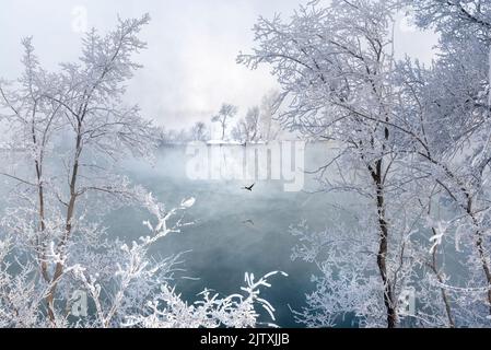 Sibirien, Russland. Ein dunkler und kalter Wintertag.die Temperatur ist -30. Alles ist gefroren. Aber das Wasser. Eine gefrorene Landschaft. Stockfoto