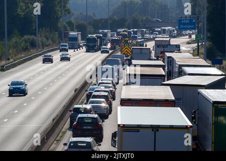 Drongen, Belgien. 02. September 2022. Abbildung zeigt Staus mit vielen Lkw und PKWs nach einem Unfall mit einem Lkw an der Ausfahrt Drongen der Autobahn E40, in Drongen, Freitag, 02. September 2022. Die Straße ist in Richtung Küste gesperrt und die Dienste erwarten, dass die Räumung der Straße eine lange Zeit dauern könnte. BELGA FOTO NICOLAS MAETERLINCK Kredit: Belga Nachrichtenagentur/Alamy Live News Stockfoto