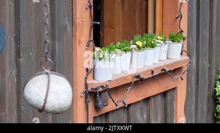 Blumen und alte Fensterbänke des Landhauses sind in kleinen weißen Eimern angeordnet Stockfoto