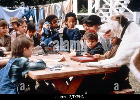 The Little Rascals Jahr : 1994 USA Regie : Penelope Spheeris Jordan Warkol, Bug Hall, Ross Bagley, Travis Tedford Stockfoto