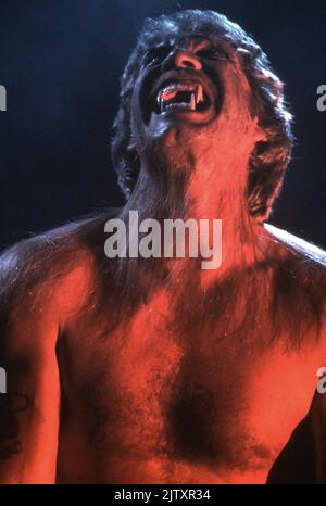 The Howling Jahr: 1981 USA Regie: Joe Dante Christopher Stone Stockfoto