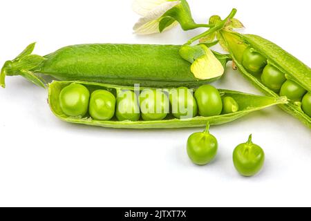 Eine offene Hülse aus grünen Erbsen, auf weißem Hintergrund, Makrofotografie Stockfoto