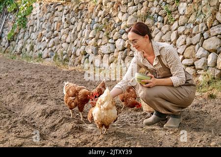 Frau, die auf dem Bauernhof Hühner aus der Hand füttert. Freiweidende Haushenne auf einem traditionellen Bio-Bauernhof mit freilandem Geflügel. Erwachsene Hühner gehen auf der Soi Stockfoto