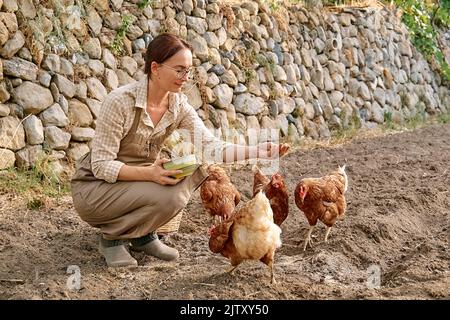 Frau, die auf dem Bauernhof Hühner aus der Hand füttert. Freiweidende Haushenne auf einem traditionellen Bio-Bauernhof mit freilandem Geflügel. Erwachsene Hühner gehen auf der Soi Stockfoto