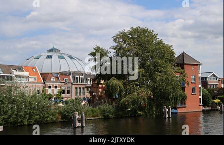 Wunderschöner Blick auf die holländische Stadt. Haarlem, Niederlande. Sommer in Europa. Holländische Architektur Foto. Stockfoto