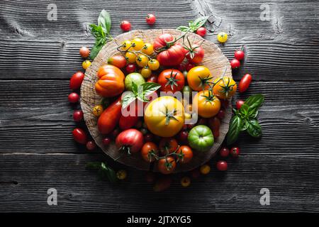 Verschiedene Sorten von roten, gelben, grünen und schwarzen Tomaten mischen sich auf einem Holztisch. Frisch sortiert bunte Sommer Tomaten Hintergrund, Nahaufnahme. Food-Fotografie Stockfoto