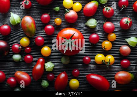 Verschiedene Sorten von roten, gelben, grünen und schwarzen Tomaten mischen sich auf einem Holztisch. Frisch sortiert bunte Sommer Tomaten Hintergrund, Nahaufnahme. Food-Fotografie Stockfoto