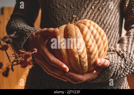 Weibchen in gestricktem braunen Wollpullover mit orangefarbenem Kürbis. Gemütliche Herbststimmung. Herbststimmung. Erntedankfest. Halloween. Stockfoto