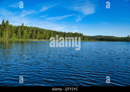 Ein See in Schweden in Smalland. Blaues Wasser, sonniger Himmel, grüne Wälder. Entspannung und Ruhe im Urlaub Stockfoto