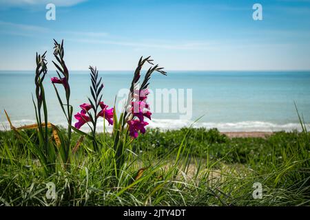 Littlehampton Strand Stockfoto