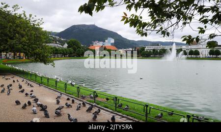 Lille Lungegårdsvannet, Bergen, Norwegen. Lille Lungegårdsvannet oder Smålungeren ist ein kleiner 5 Hektar großer See im Zentrum der Stadt Bergen. Stockfoto