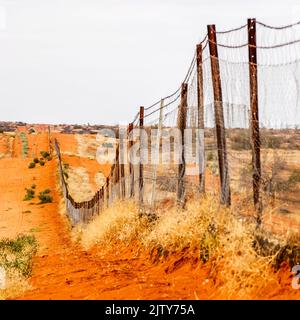Dingo-Zaun an Camerons Ecke Stockfoto