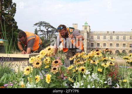 Saffron Walden, Großbritannien. 02.. September 2022. Die erste BBC Gärtner-Weltherbstmesse findet im Audley End House in Essex statt. Die Gadd Brothers, die am APL Professional Skills Competition teilnehmen. Kredit: Eastern Views/Alamy Live Nachrichten Stockfoto