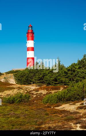 Leuchtturm Amrum, Insel Amrum, Nordsee, Schleswig-Holstein, Deutschland Stockfoto