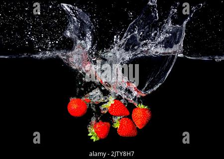 Frische Erdbeere fiel ins Wasser mit Spritzern auf schwarzem Hintergrund. Stockfoto