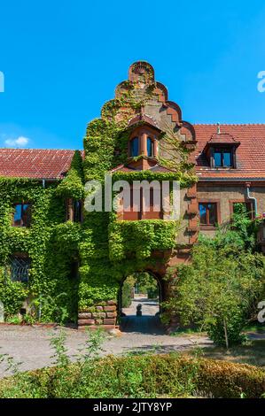 Velheimsburg, Deutschland - 11. August 2022: Altes Schulhaus - heute ein Hotel - in Veltheimsburg, bedeckt mit Efeupflanzen Stockfoto