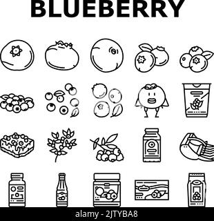 Blaubeere Biberry Blaubeere Symbole Set Vektor Stock Vektor